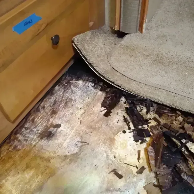 Best Wood Floor Water Damage Service in Ansonia, OH